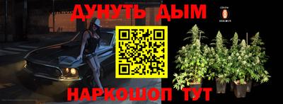 кокс Нальчик